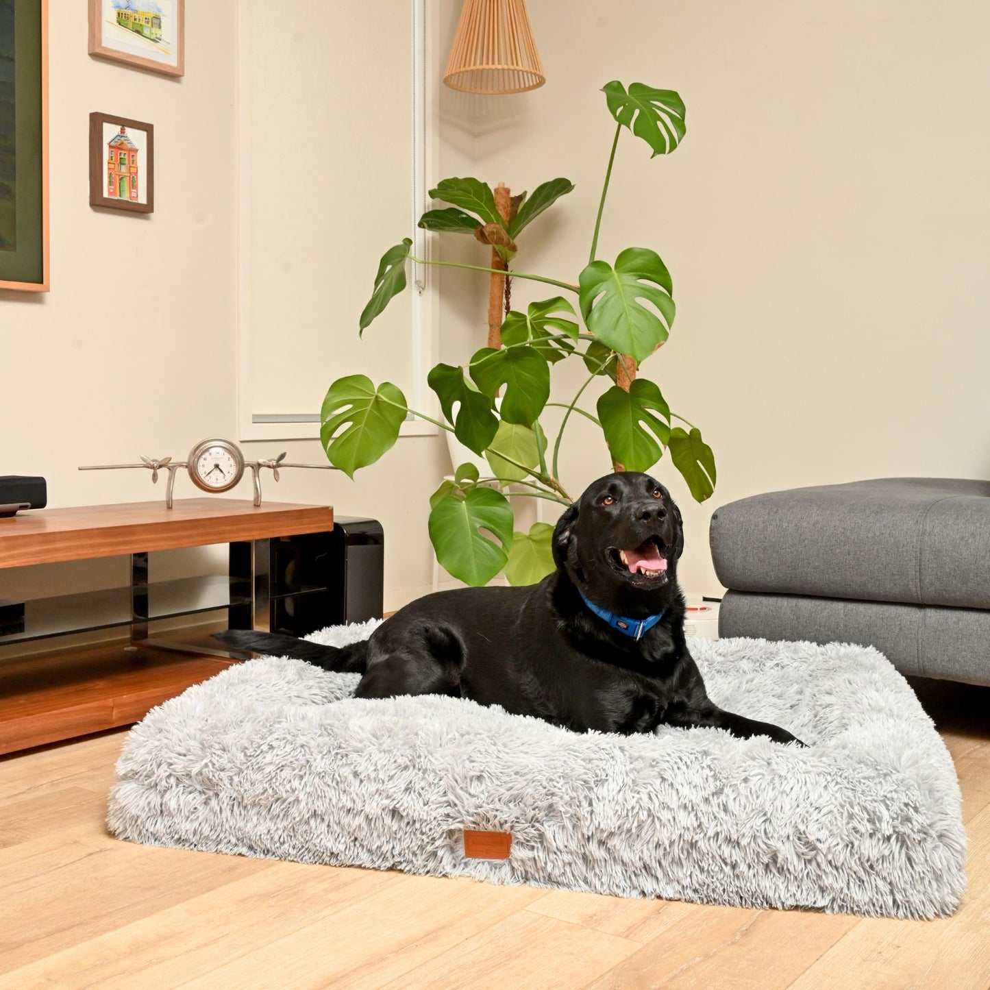 Calming Cloud Cover for Kangaroo Bed