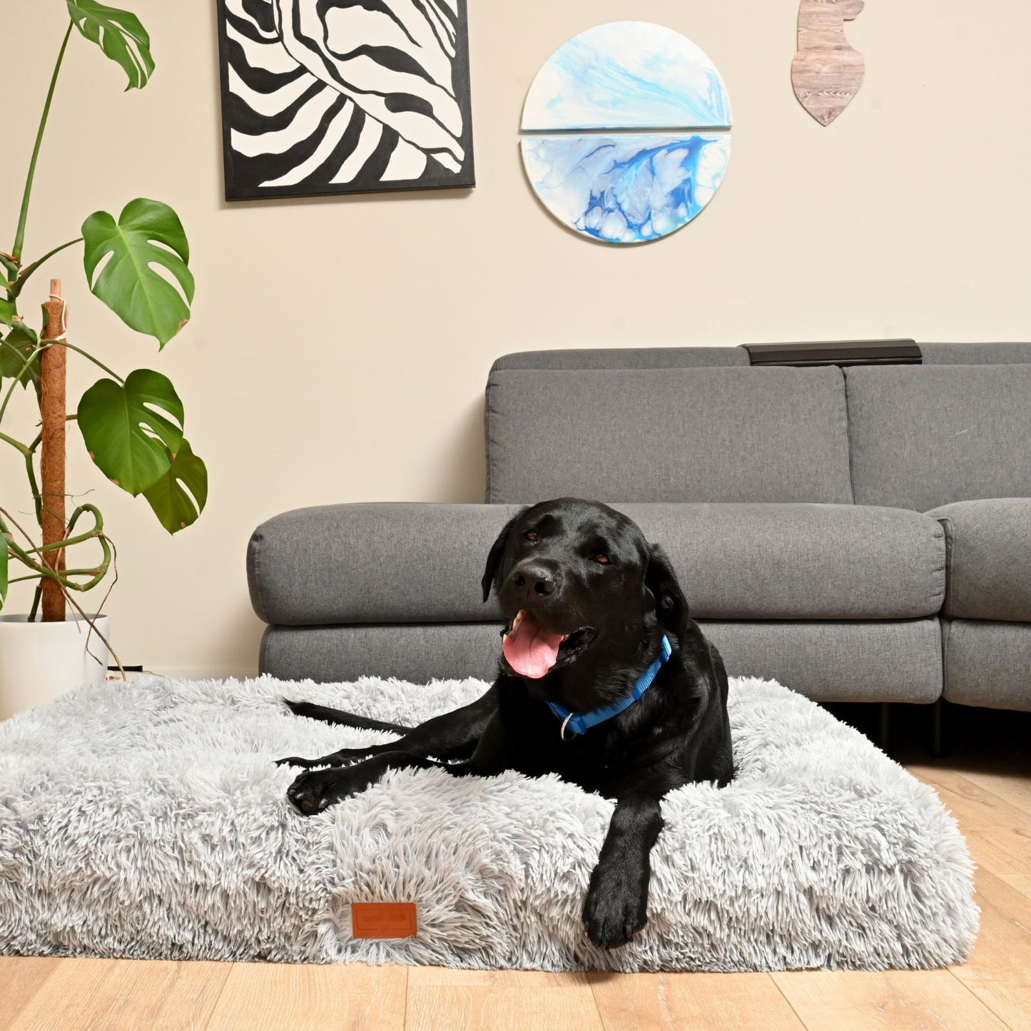 Calming Cloud Cover for Kangaroo Bed
