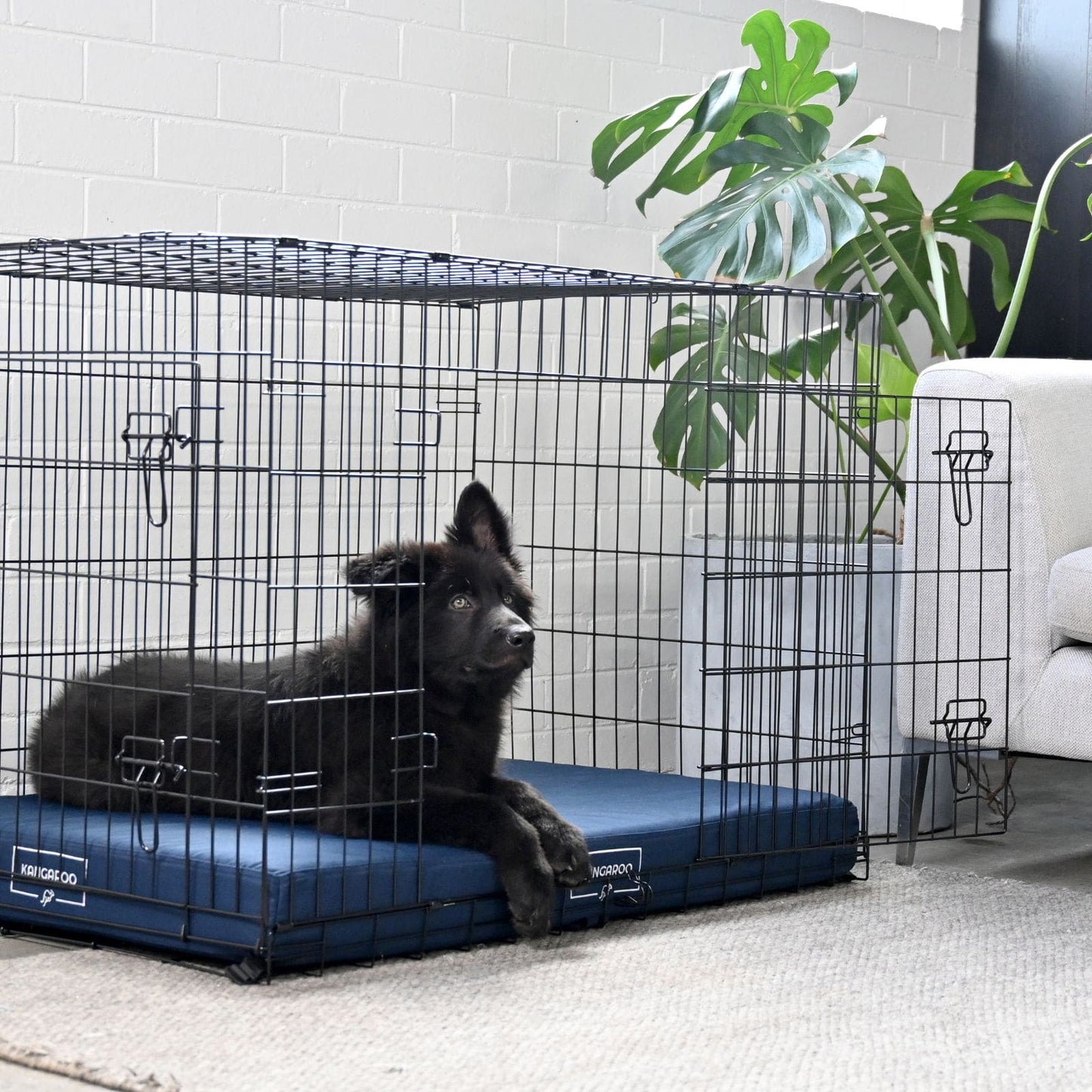 Kangaroo Dog Crate Mat