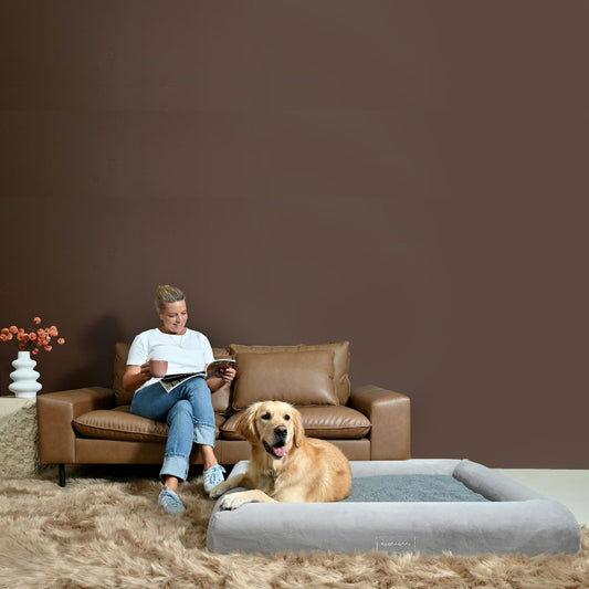 Orthopaedic Memory Foam Dog Bed