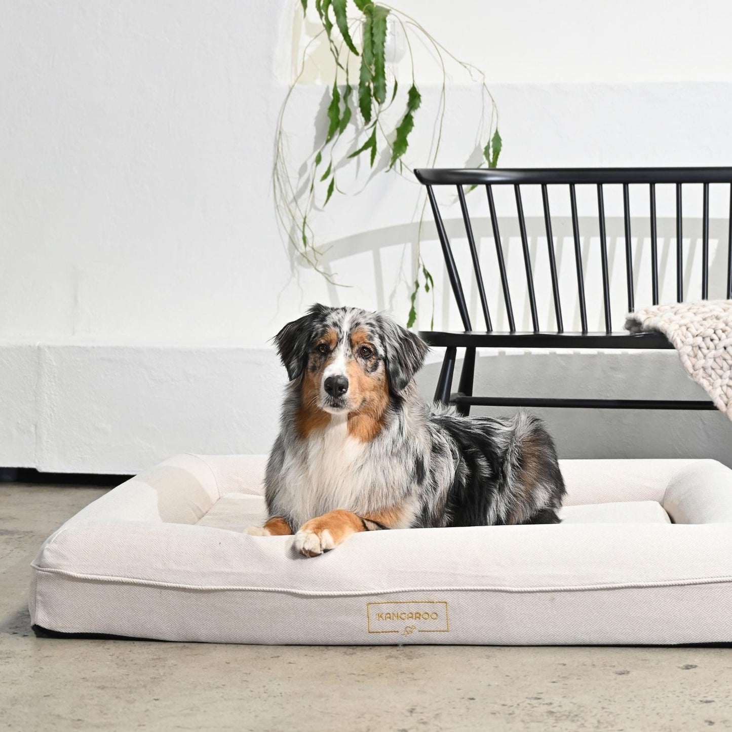 Lux Cover for Kangaroo Bed