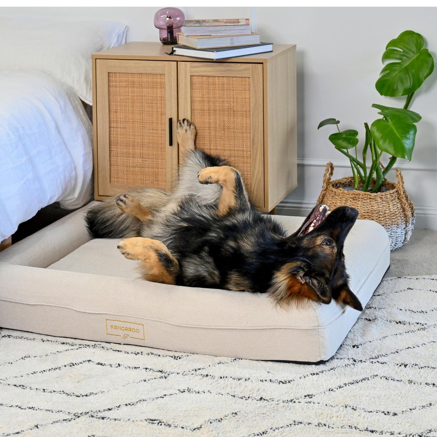 Lux Cover for Kangaroo Bed