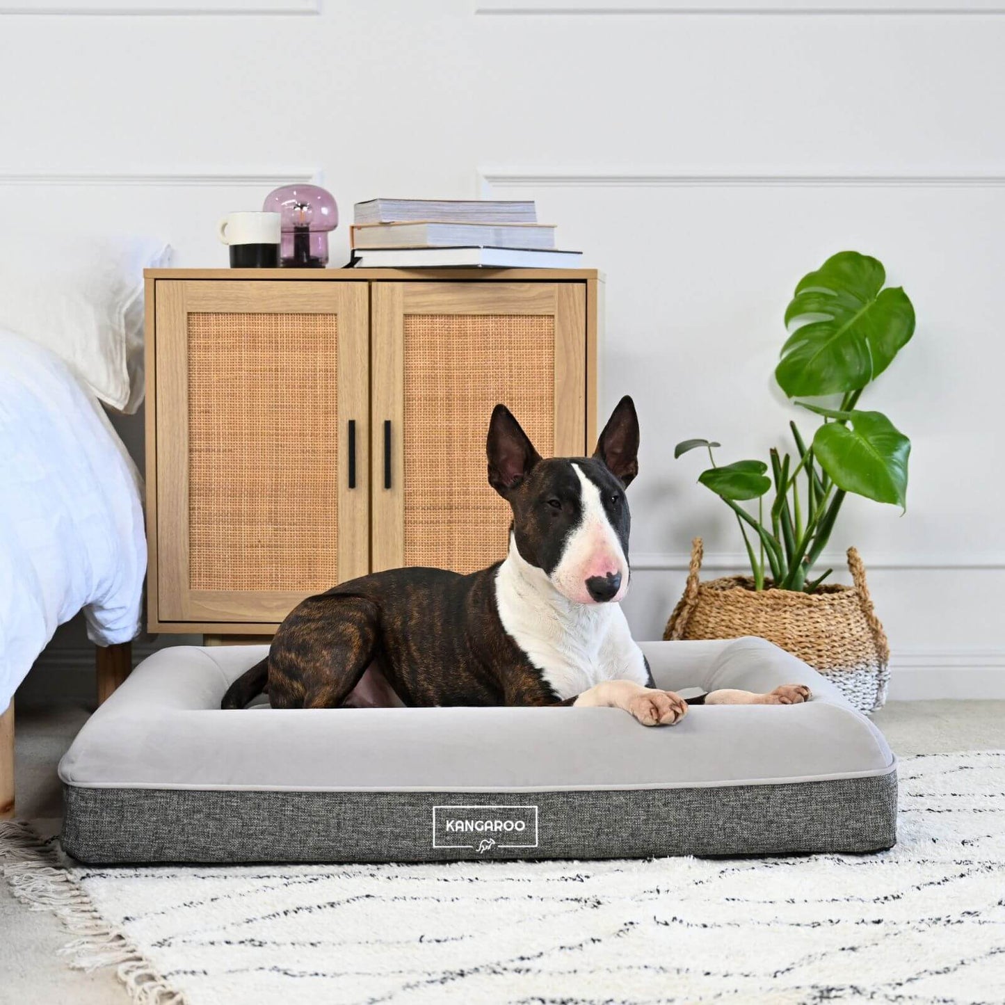 Kangaroo Bed - Medium