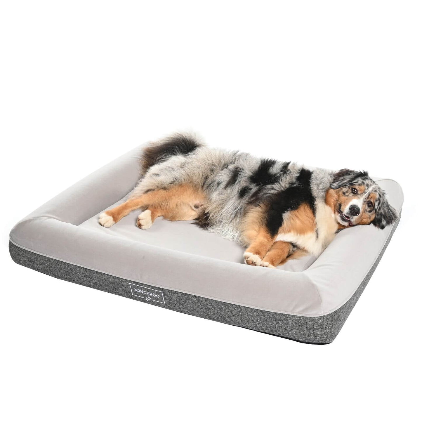 Kangaroo Bed - Large