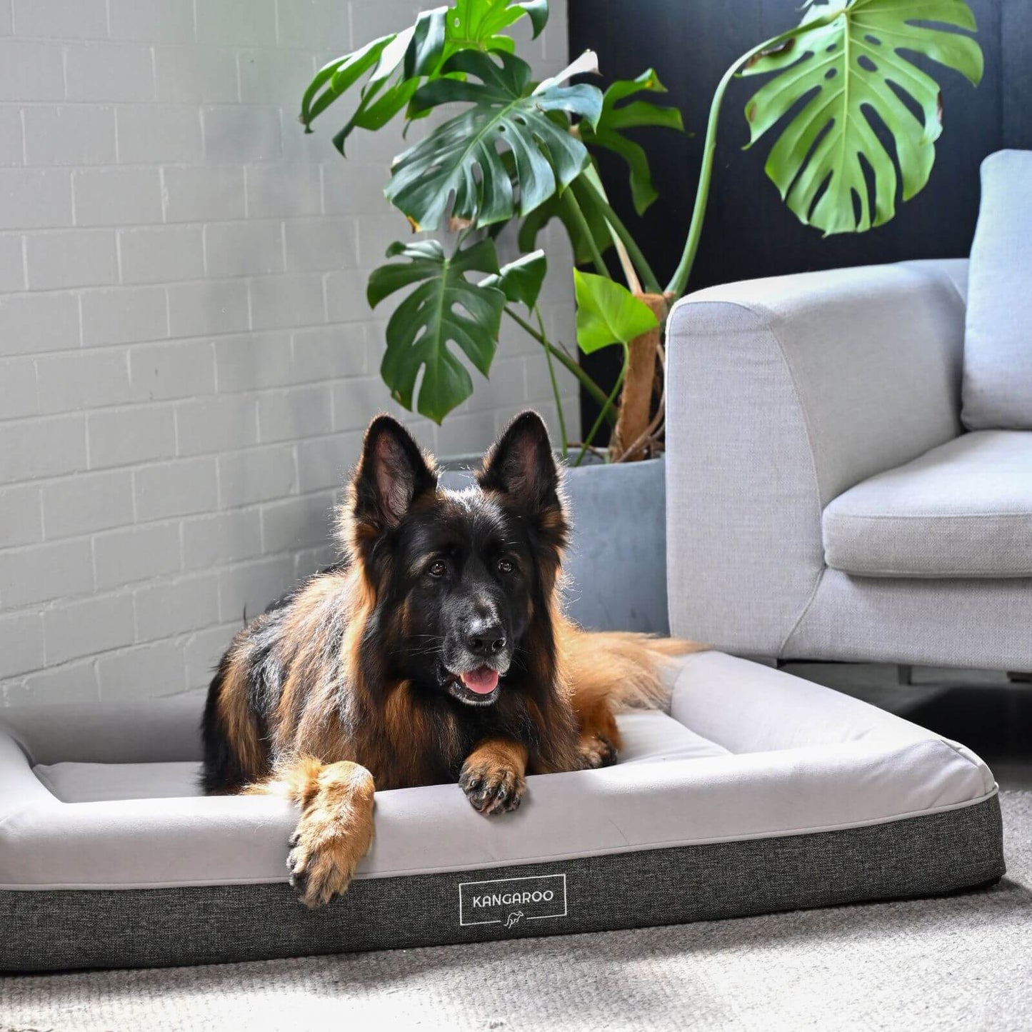 Kangaroo Bed - Large