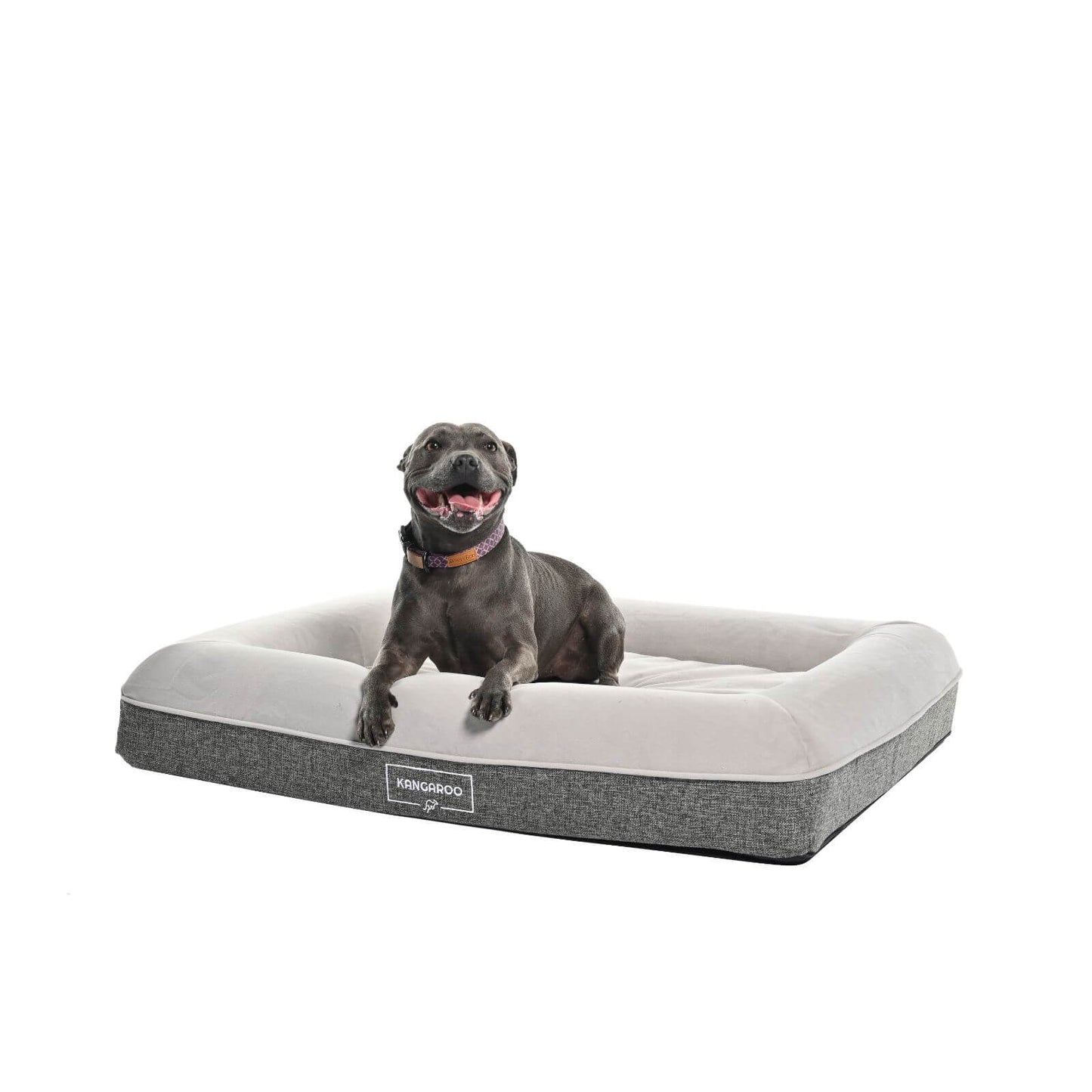 Kangaroo Bed - Medium