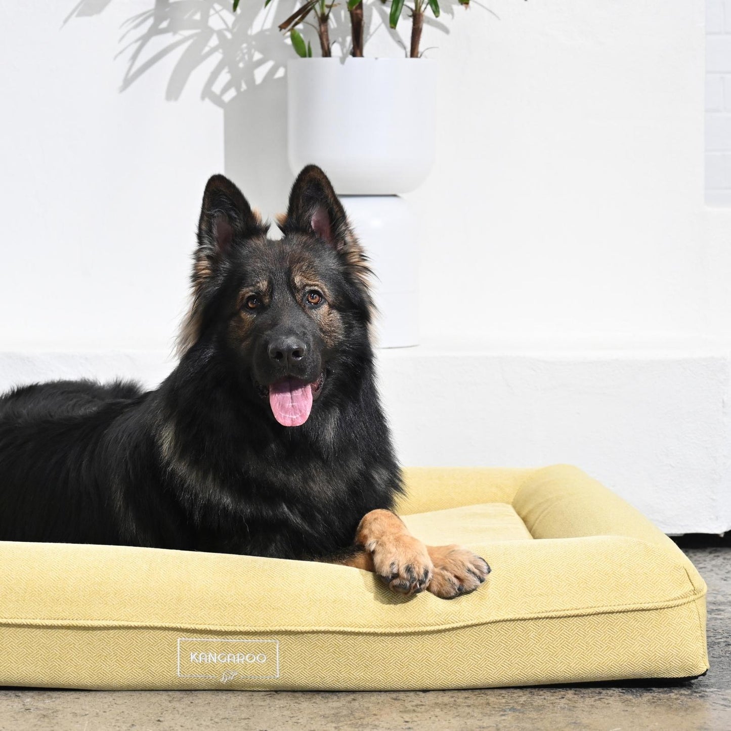 Lux Cover for Kangaroo Bed