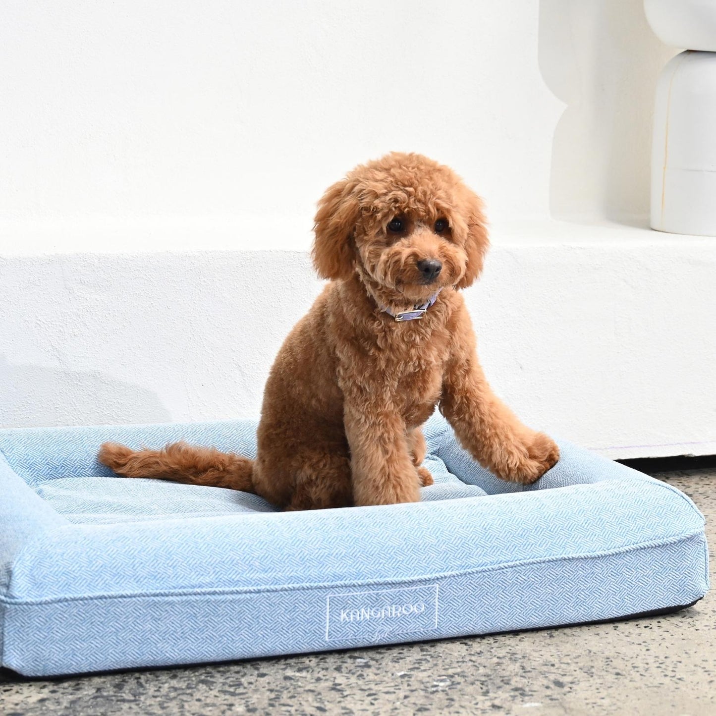 Lux Cover for Kangaroo Bed