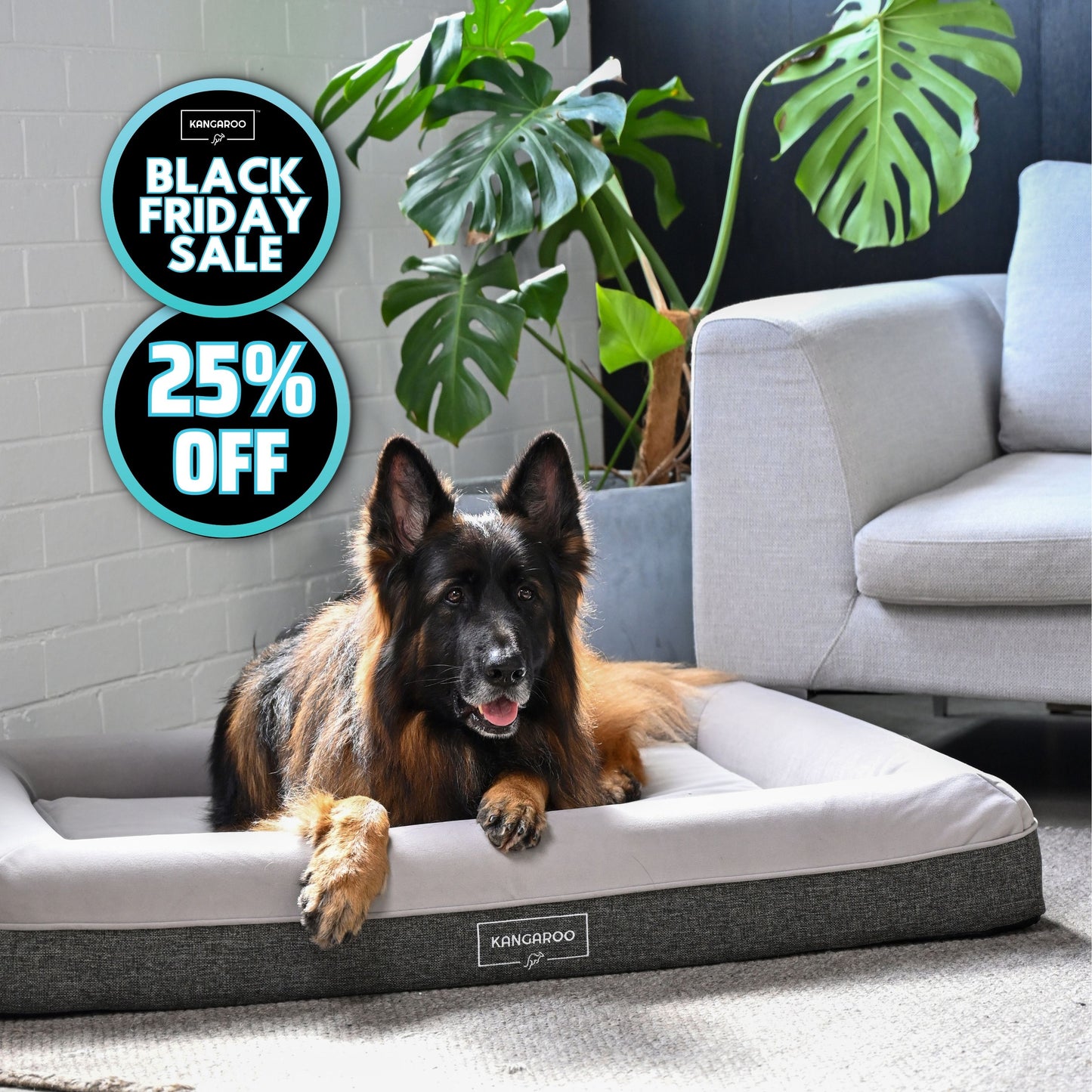 Kangaroo Bed - Large