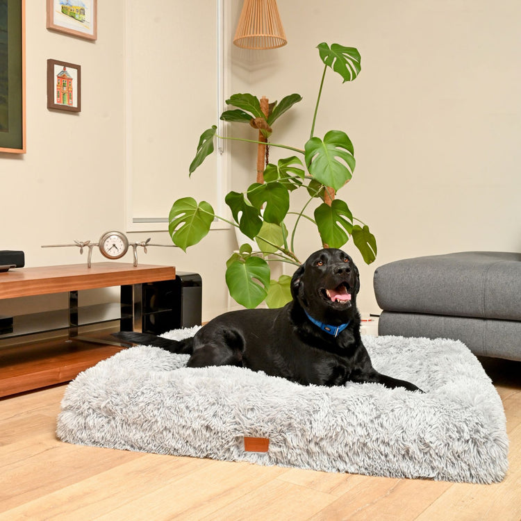 Calming Cloud Cover for Kangaroo Bed