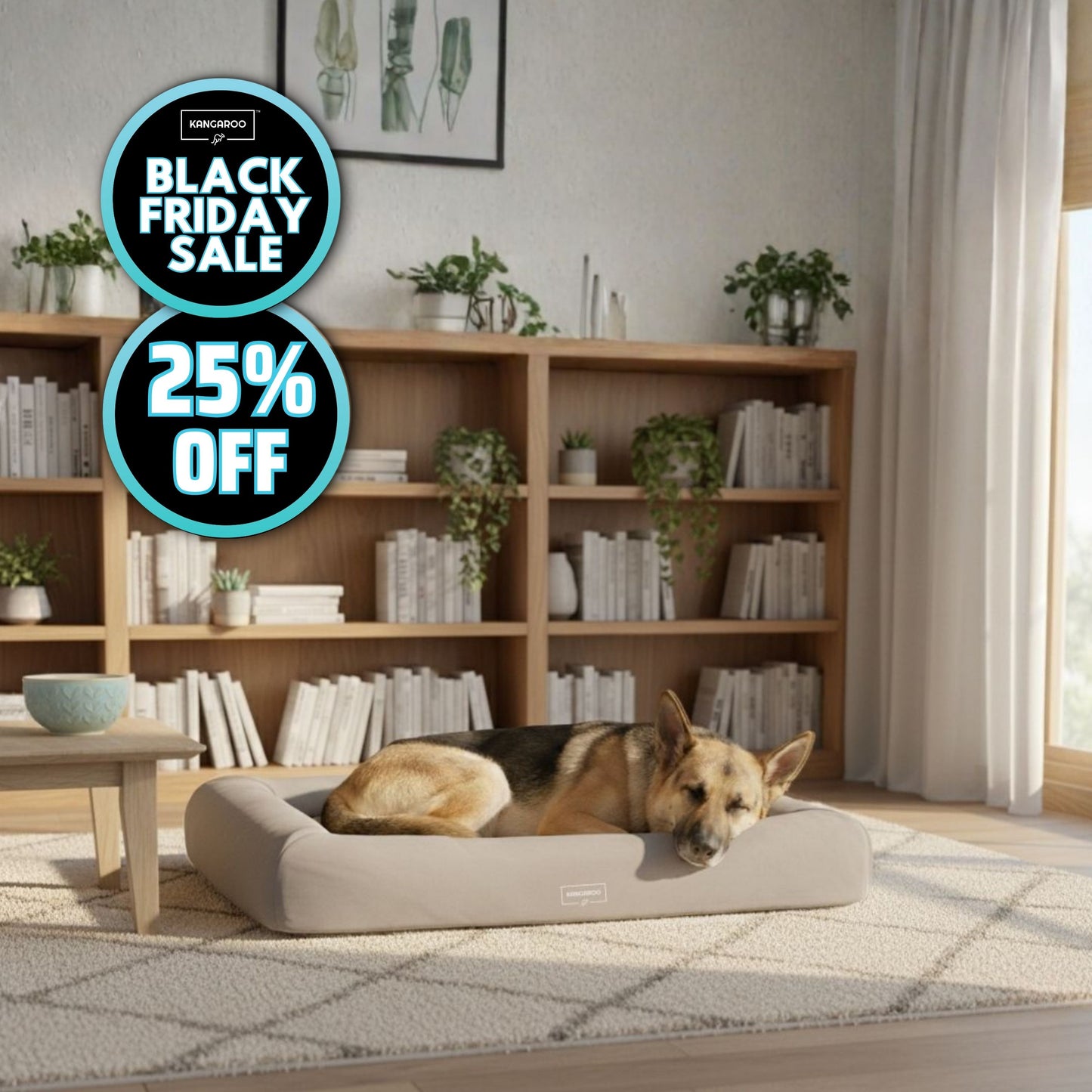 Orthopaedic Memory Foam Dog Bed