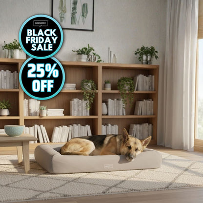 Orthopaedic Memory Foam Dog Bed