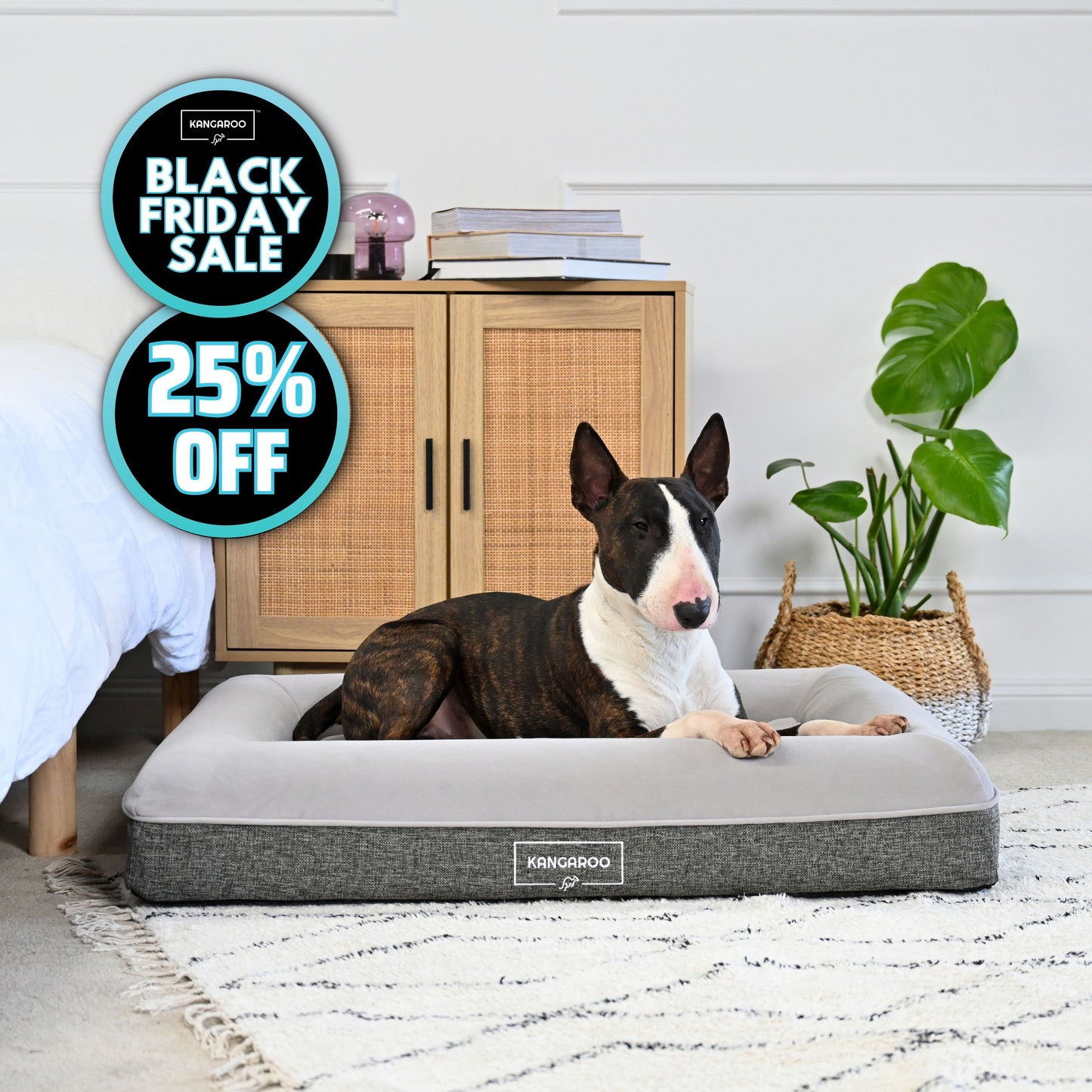 Orthopaedic Memory Foam Dog Bed