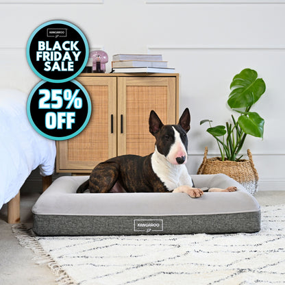 Orthopaedic Memory Foam Dog Bed