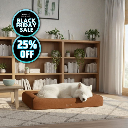 Orthopaedic Memory Foam Dog Bed