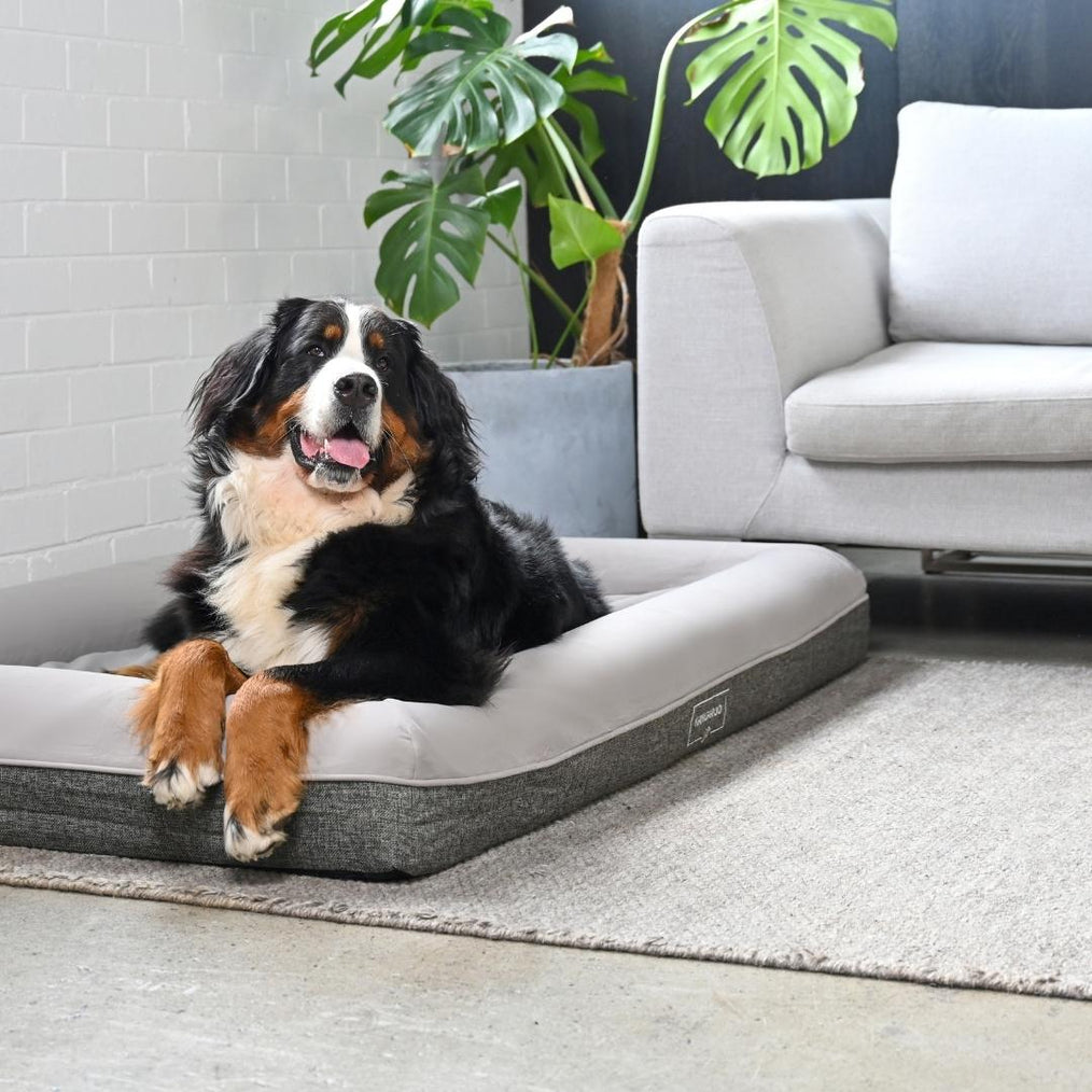 Orthopaedic Memory Foam Dog Bed